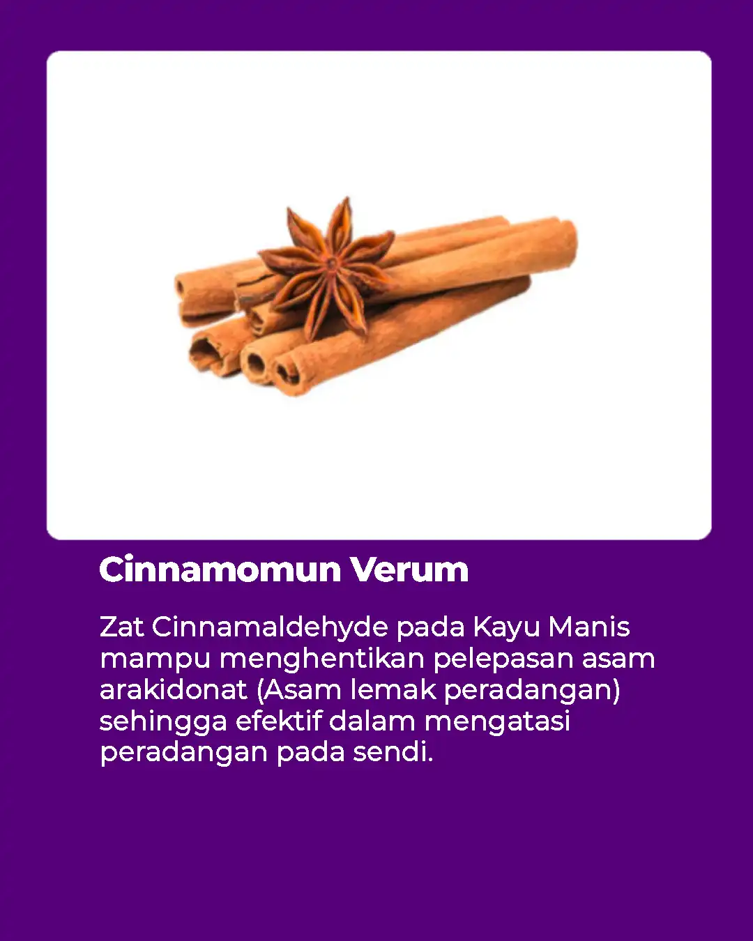 kayu-manis.jpg